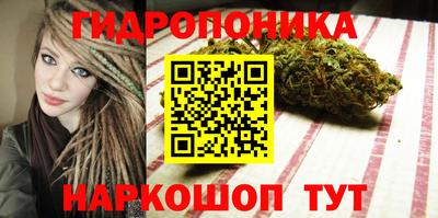 мяу мяу мука Ликино-Дулёво