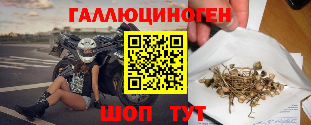 Галлюциногенные грибы прущие грибы  Псилоцибиновые грибы ЛСД  закладки  Вход с VPN  Южно-Сахалинск 